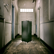 Steve_Rood_Image