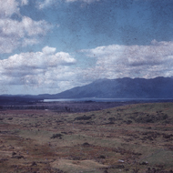 Steve_Rood_Image