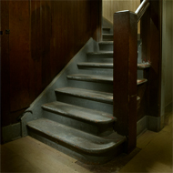 Steve_Rood_Image