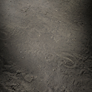 Steve_Rood_Image