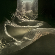 Steve_Rood_Image
