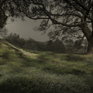 Steve_Rood_Image