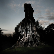 Steve_Rood_Image
