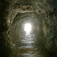 Steve_Rood_Image