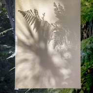 Steve_Rood_Image