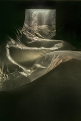 Image by Steve Rood